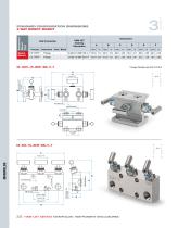 Ham-Let Astava Line of Manifolds - 12