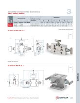 Ham-Let Astava Line of Manifolds - 13