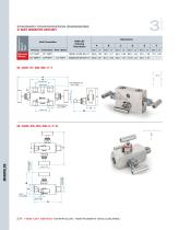 Ham-Let Astava Line of Manifolds - 14
