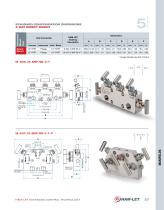 Ham-Let Astava Line of Manifolds - 17