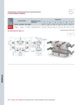 Ham-Let Astava Line of Manifolds - 18
