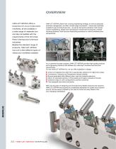 Ham-Let Astava Line of Manifolds - 2