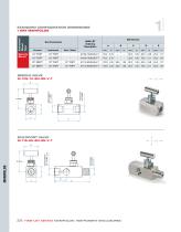 Ham-Let Astava Line of Manifolds - 6