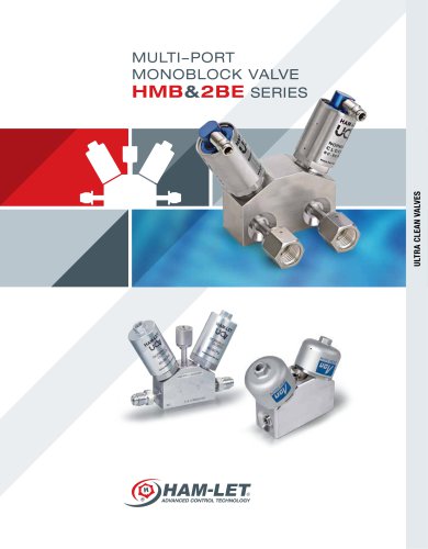 HMB & 2BE Multi-Port Diaphragm Monoblock Valves